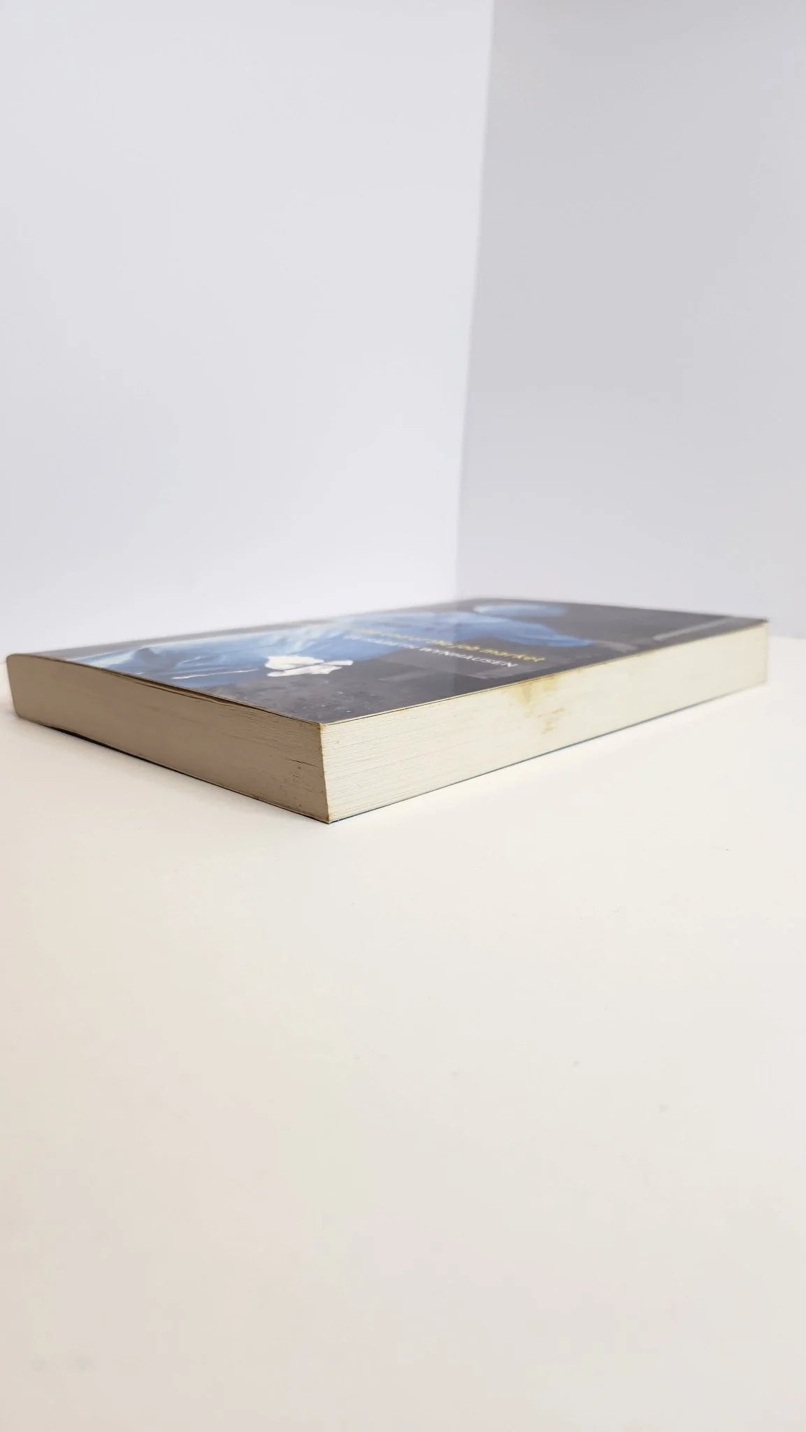 Dirt Cheap: Life at the Wrong End of the Job Market - Oakmont Books