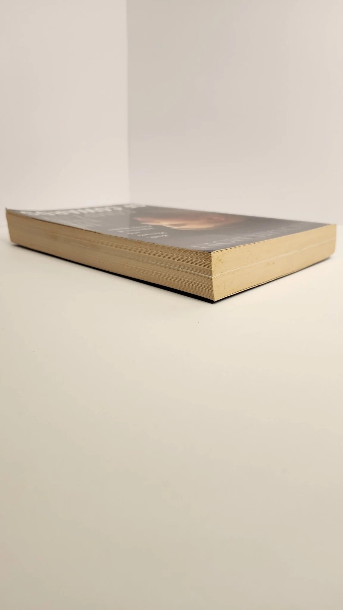 In the Company of Cowards. Bush, Howard and injustice at Guantanamo - Oakmont Books