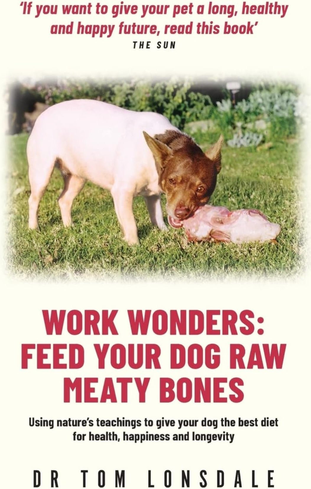Work Wonders: Feed Your Dog Raw Meaty Bones - My Store