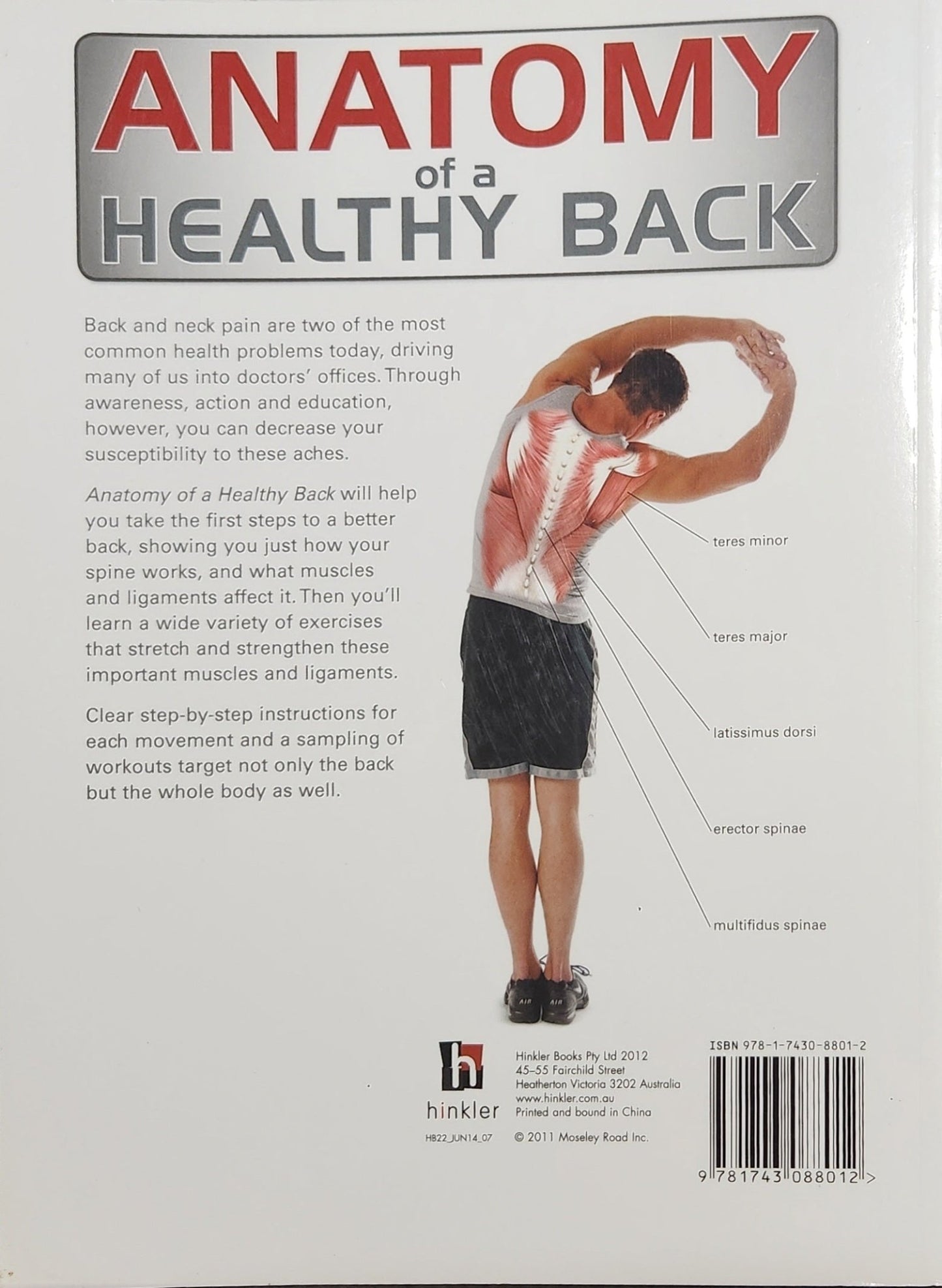 Anatomy of a Healthy Back - Oakmont Books