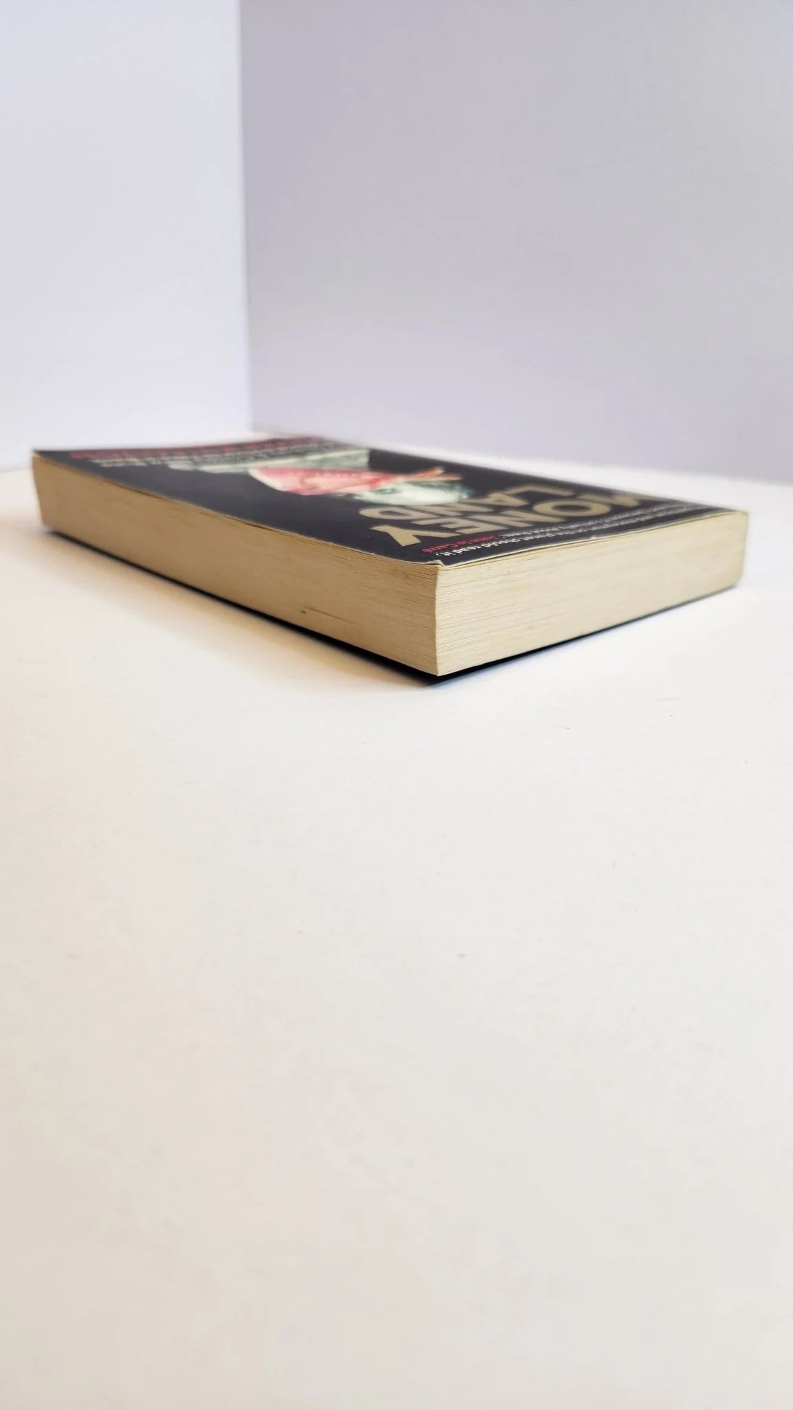 Moneyland: Why Thieves And Crooks Now Rule The World And How To Take It Back - Oakmont Books