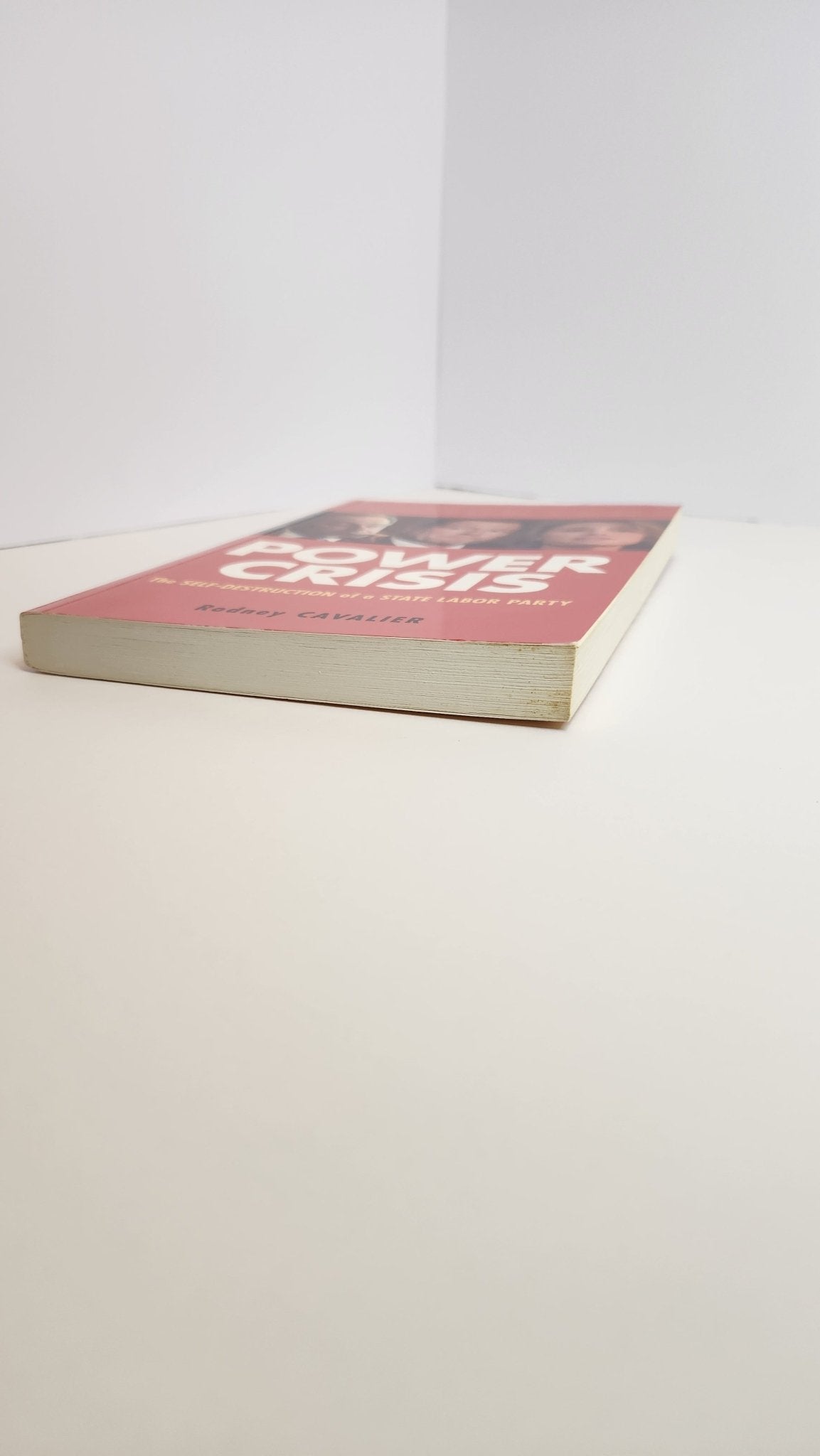 The Power Crisis. The Self - Destruction of a State Labor Party - My Store