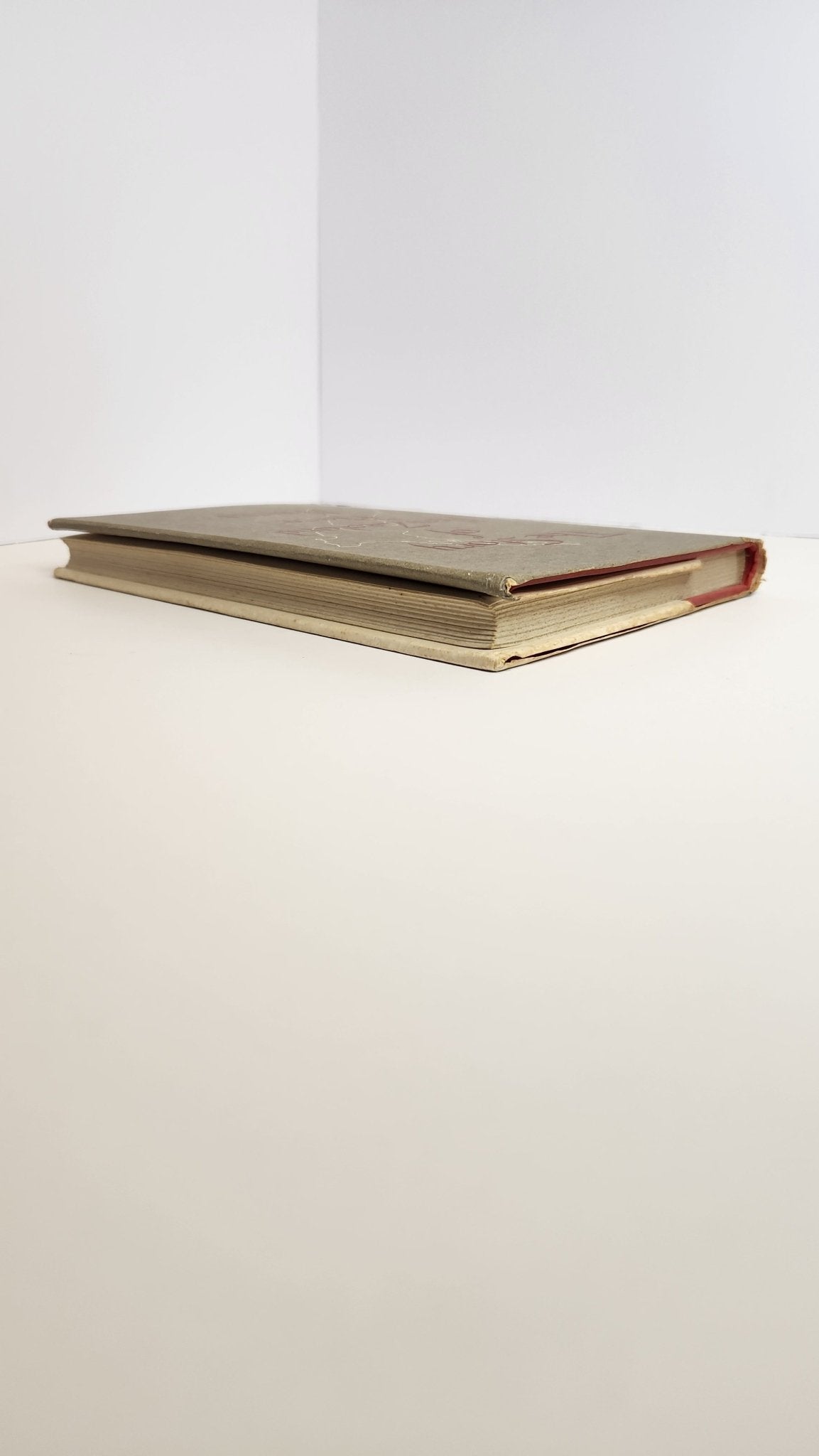 The Story of New Zealand Place Names - My Store