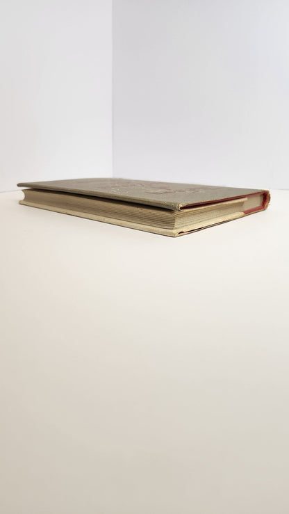 The Story of New Zealand Place Names - My Store